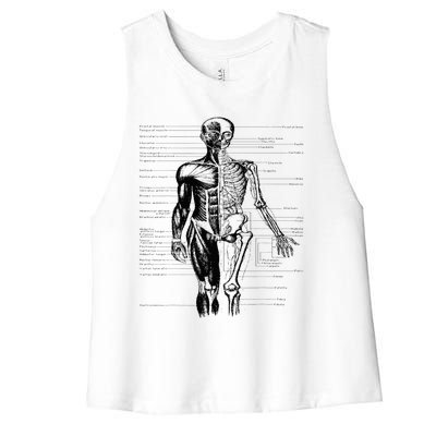 Human Body Muscle Anatomy Hospital funny nurse day Women's Racerback Cropped Tank