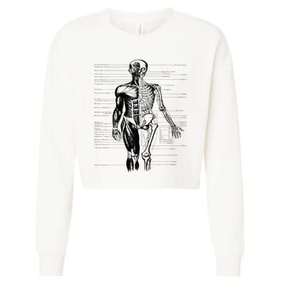 Human Body Muscle Anatomy Hospital funny nurse day Cropped Pullover Crew