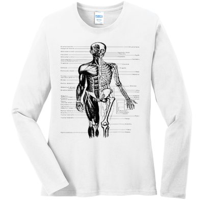 Human Body Muscle Anatomy Hospital funny nurse day Ladies Long Sleeve Shirt