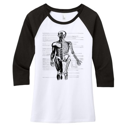 Human Body Muscle Anatomy Hospital funny nurse day Women's Tri-Blend 3/4-Sleeve Raglan Shirt