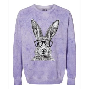 Hipster Bunny Rabbit Wearing Glasses Funny Drawing Colorblast Crewneck Sweatshirt