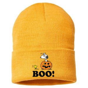 Halloween Boo Raglan Baseball Sustainable Knit Beanie