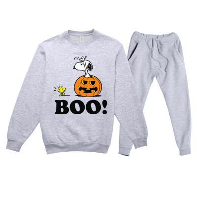 Halloween Boo Raglan Baseball Premium Crewneck Sweatsuit Set