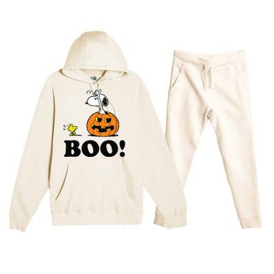 Halloween Boo Raglan Baseball Premium Hooded Sweatsuit Set