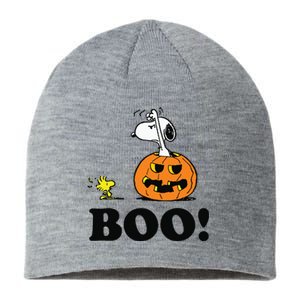 Halloween Boo Raglan Baseball Sustainable Beanie