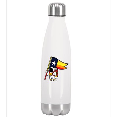 Houston Baseball Space City Astronaut Texas Flag Stainless Steel Insulated Water Bottle