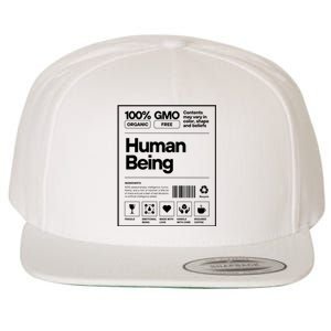 Human Being Science Ingredients Medical Label Wool Snapback Cap