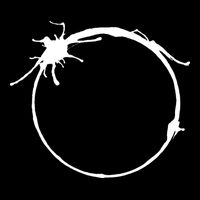 Heptapod B (Translation Human) Inverted Youth Performance Sprint T-Shirt