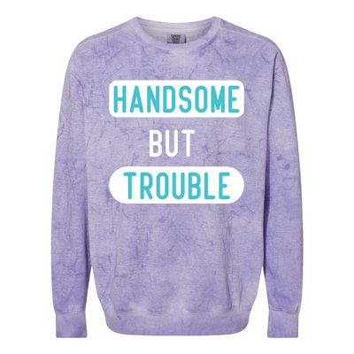 Handsome But Trouble Funny Colorblast Crewneck Sweatshirt