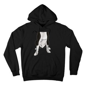 Halloween Boston Terriers Dog Body Costume Hoodie