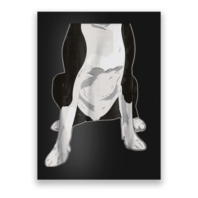 Halloween Boston Terriers Dog Body Costume Poster