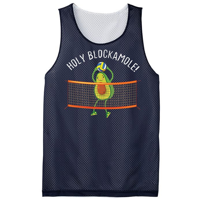 Holy Blockamole Volleyball Cute Funny Mesh Reversible Basketball Jersey Tank