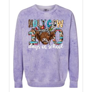 Holy Cow 100 Days Of School Funny Colorblast Crewneck Sweatshirt