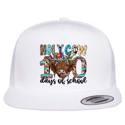 Holy Cow 100 Days Of School Funny Flatbill Hat