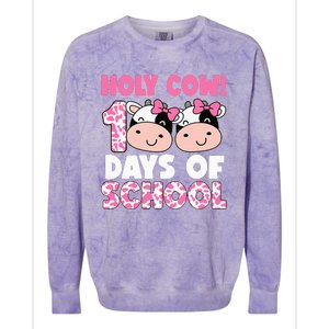 Holy Cow 100 Days Of School Teachers Students Colorblast Crewneck Sweatshirt