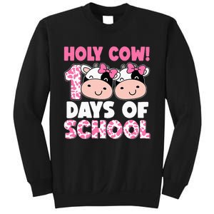 Holy Cow 100 Days Of School Teachers Students Sweatshirt