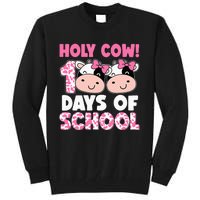 Holy Cow 100 Days Of School Teachers Students Tall Sweatshirt