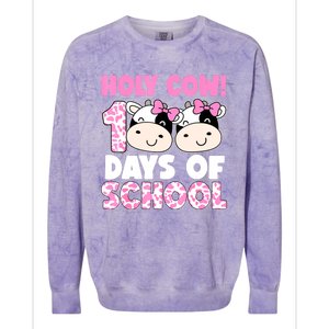 Holy Cow 100 Days Of School Teachers Students Colorblast Crewneck Sweatshirt