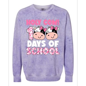 Holy Cow 100 Days Of School Teachers Students Girl Wo Colorblast Crewneck Sweatshirt