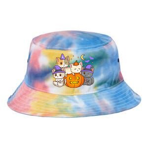 Halloween Cats Anime Cat Kawaii Neko Pumpkin Cat Lover Witch Tie Dye Newport Bucket Hat