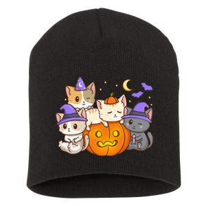 Halloween Cats Anime Cat Kawaii Neko Pumpkin Cat Lover Witch Short Acrylic Beanie