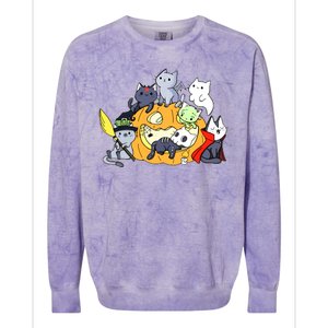 Halloween Cats Anime Cat Kawaii Neko Pumpkin Cat Lover Halloween Colorblast Crewneck Sweatshirt