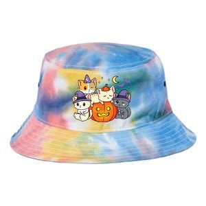 Halloween Cats Anime Cat Kawaii Neko Pumpkin Cat Lover Witch Tie Dye Newport Bucket Hat