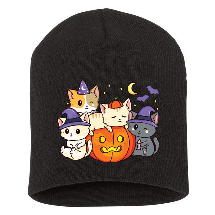 Halloween Cats Anime Cat Kawaii Neko Pumpkin Cat Lover Witch Short Acrylic Beanie