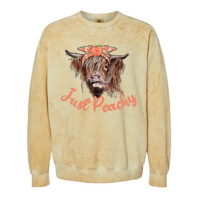 Highland Cow Bandana Just Peachy Western Country Peach Lover Colorblast Crewneck Sweatshirt