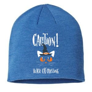 Halloween Caution Black Cat Crossing Classic Design Funny Gift Sustainable Beanie