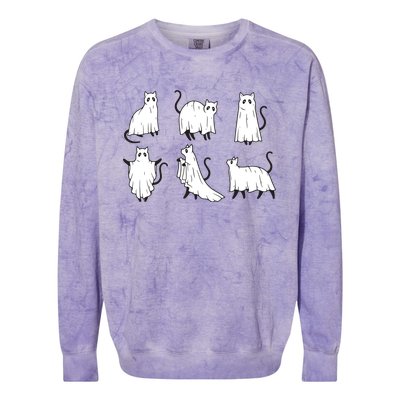 Halloween Cute Cat Boo Halloween Cat Ghost Colorblast Crewneck Sweatshirt