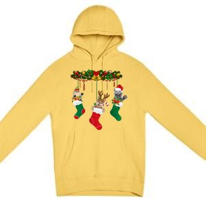 Hanging Cats Christmas Stockings Premium Pullover Hoodie