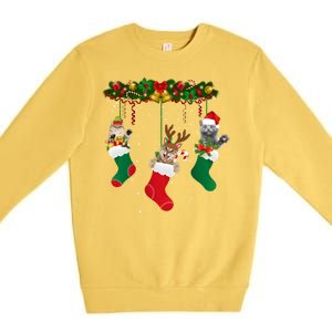 Hanging Cats Christmas Stockings Premium Crewneck Sweatshirt