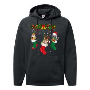 Hanging Cats Christmas Stockings Performance Fleece Hoodie