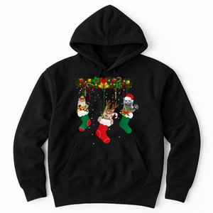 Hanging Cats Christmas Stockings Hoodie