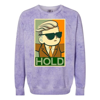 Hold Crypto Currency Cartoon Colorblast Crewneck Sweatshirt