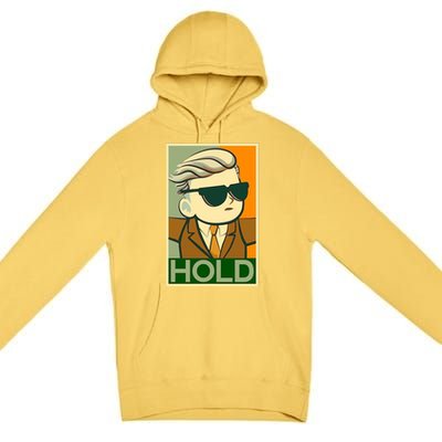 Hold Crypto Currency Cartoon Premium Pullover Hoodie