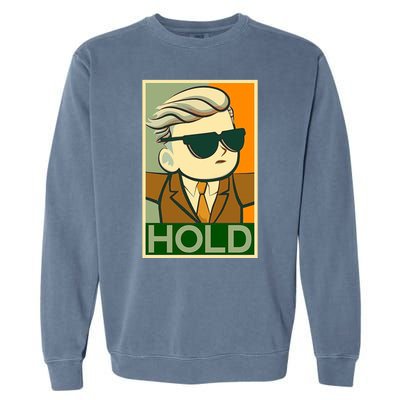 Hold Crypto Currency Cartoon Garment-Dyed Sweatshirt