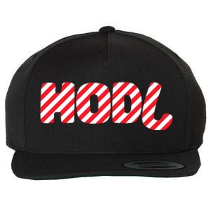 Hodl Crypto Currency Candy Cane Christmas Logo Wool Snapback Cap