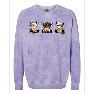 Highland Cow Cute Cow Western Colorblast Crewneck Sweatshirt