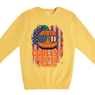 Halloween Costume Coolest Pumpkin In The Patch American Flag Gift Premium Crewneck Sweatshirt