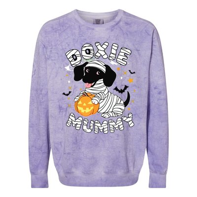 Halloween Costume Dachshund Dog Lover Doxie Mummy Colorblast Crewneck Sweatshirt