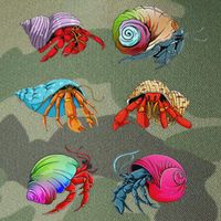 Hermit Crab Design For Hermit Crab Lovers Legacy Tie Dye Trucker Hat