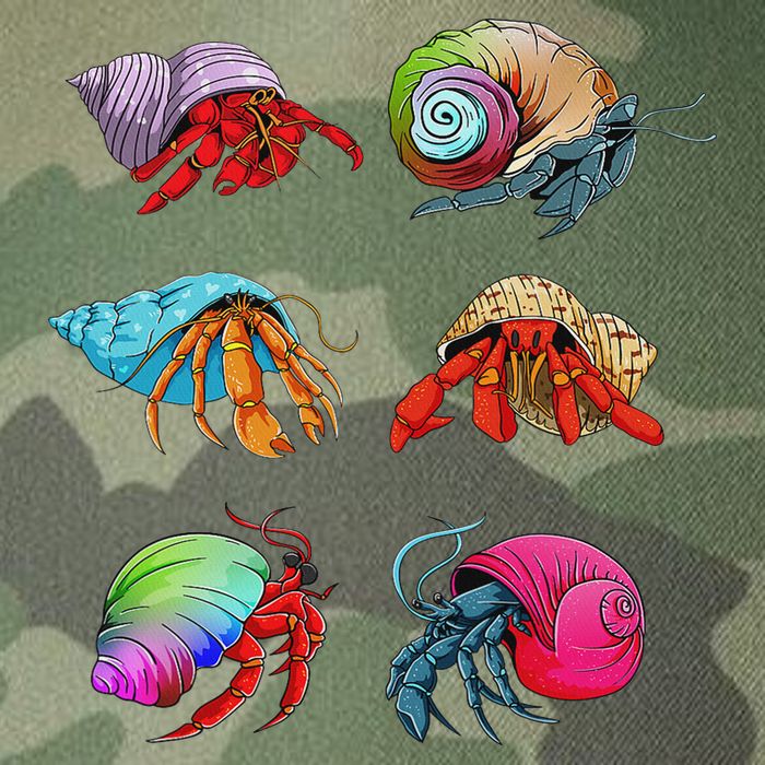 Hermit Crab Design For Hermit Crab Lovers Legacy Tie Dye Trucker Hat