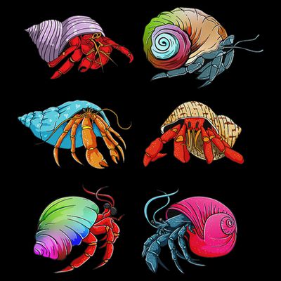 Hermit Crab Design For Hermit Crab Lovers T-Shirt