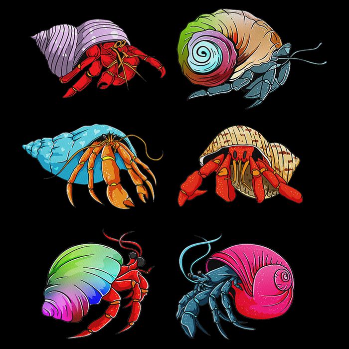 Hermit Crab Design For Hermit Crab Lovers 7-Panel Snapback Hat