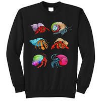 Hermit Crab Design For Hermit Crab Lovers Tall Sweatshirt