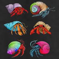 Hermit Crab Design For Hermit Crab Lovers Microfiber Hand Towel