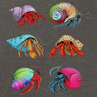 Hermit Crab Design For Hermit Crab Lovers Cotton Canvas Backpack