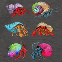 Hermit Crab Design For Hermit Crab Lovers Vector Backpack
